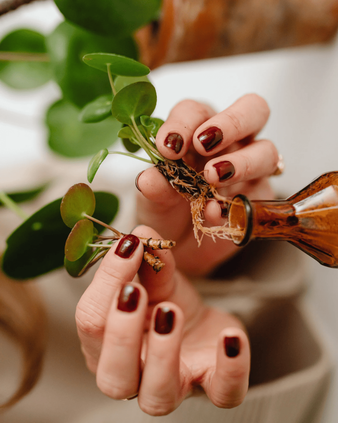 Untitled design - 13