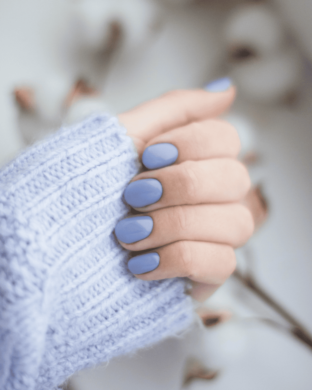 Untitled design - 15